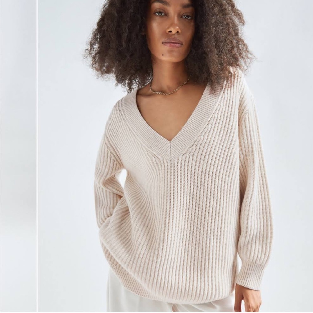 Aritzia Roger Sweater